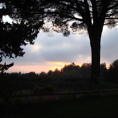 Ai Cipressi Bed & Breakfast Salemi Eksteriør bilde